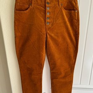 CAbi rust corduroy pants, never worn-NWOT.